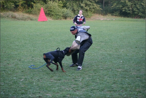 Summer training camp - Jelenec - 2007